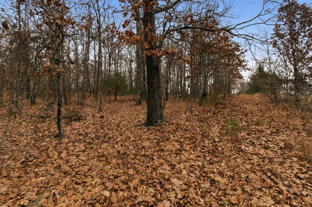 Tbd Old Highway 60, Mountain View, MO 65548 - Image #1