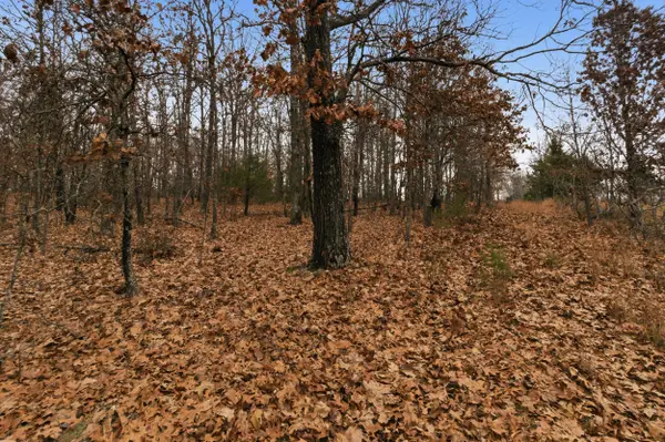 Tbd Old Highway 60, Mountain View, MO 65548