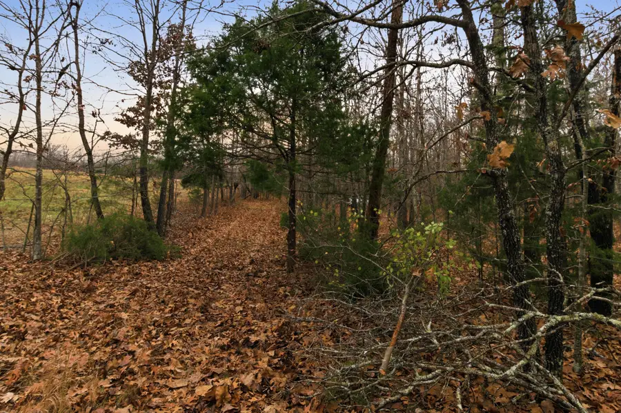 Tbd Old Highway 60, Mountain View, MO 65548 - Image #2