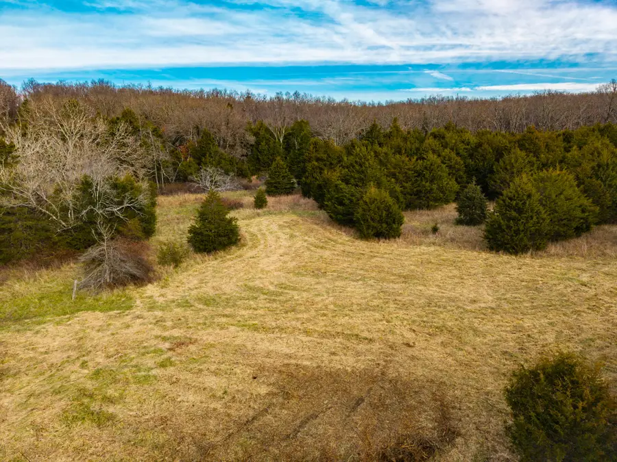 002 State Hwy Ac, Drury, MO 65638 - Image #3