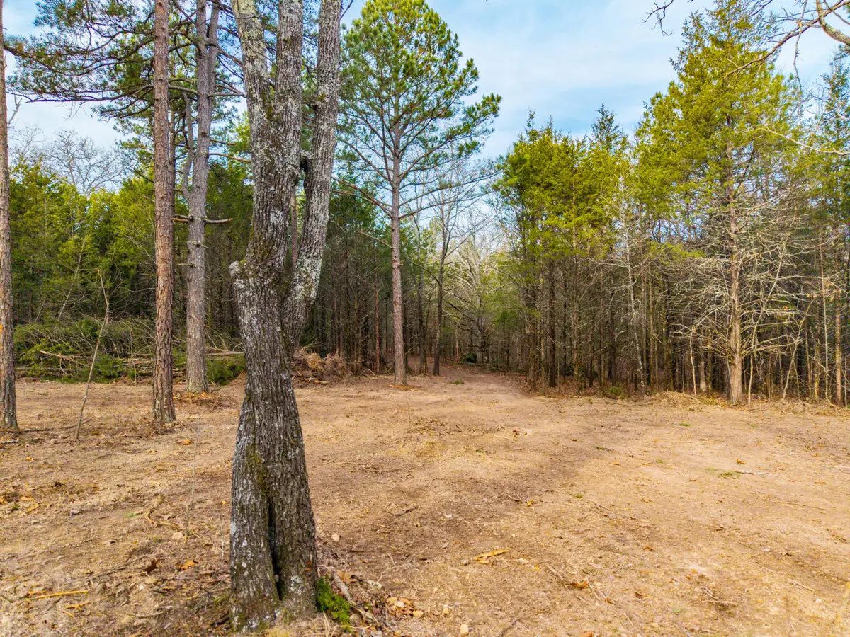 003 State Hwy Ac, Drury, MO 65638 - Image #1