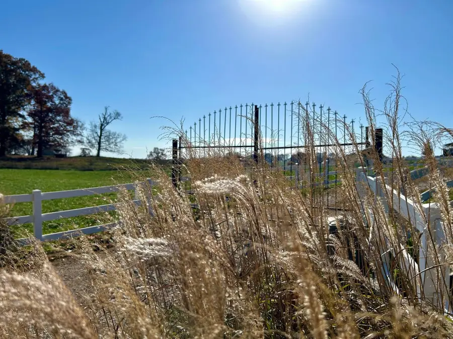 710 County Road 328, Thayer, MO 65791 - Image #2