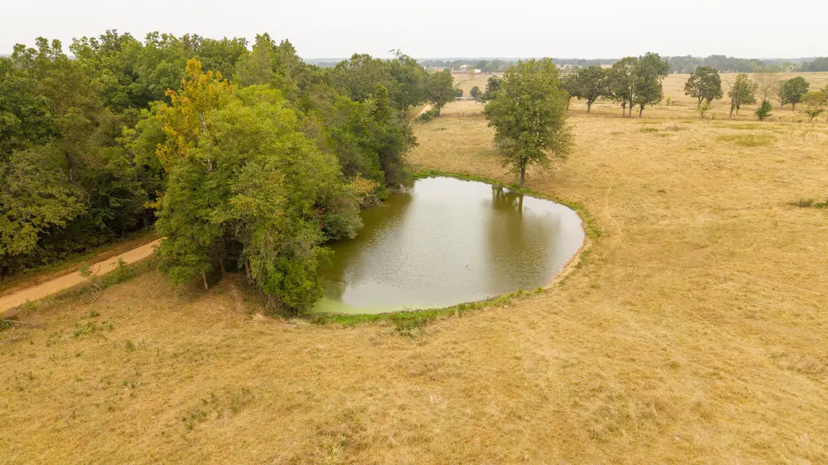 000 County Road 417, Alton, MO 65606 - Image #1