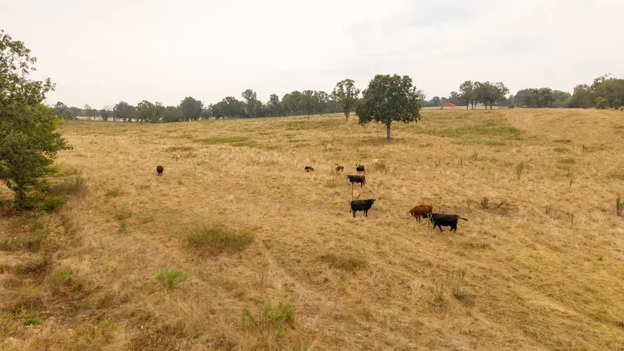 000 County Road 417, Alton, MO 65606 - Image #3