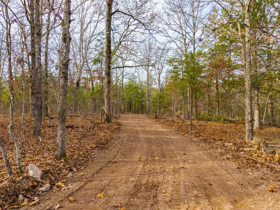 004 State Hwy Ac, Drury, MO 65638 - Image #2