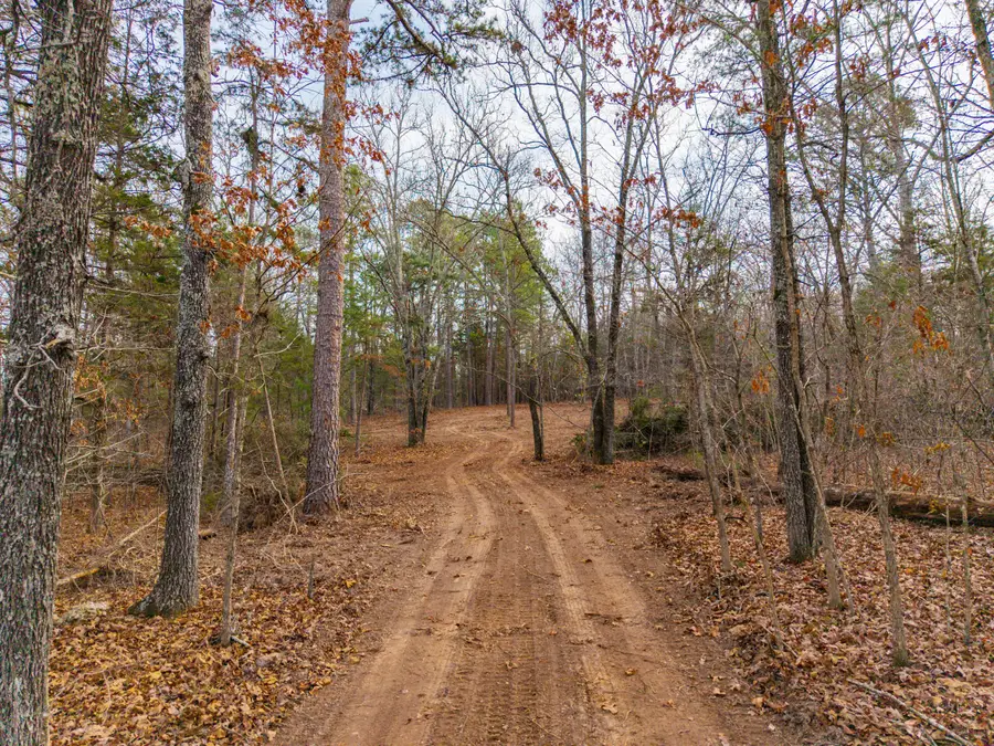 004 State Hwy Ac, Drury, MO 65638 - Image #3