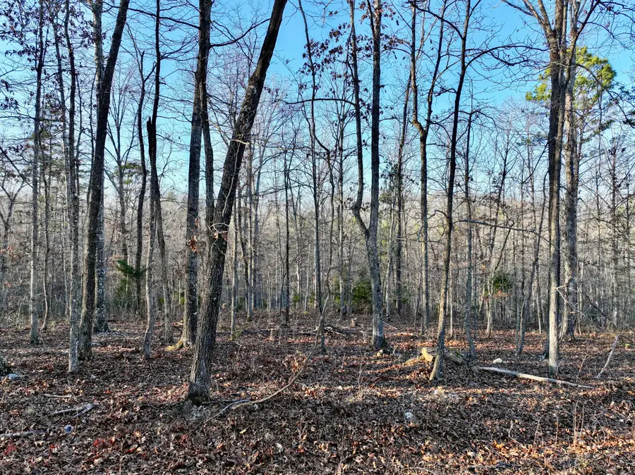 000 Bass Rock Drive, Van Buren, MO 63965 - Image #2