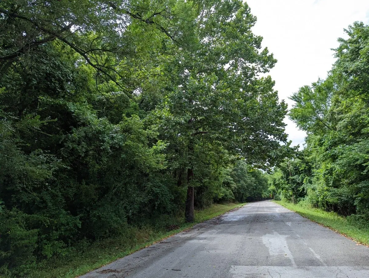 Lot 11 N Ethyl Avenue, Springfield, MO 65803 - Image #1