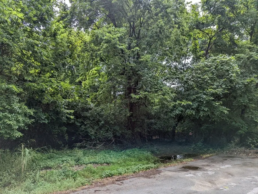 Lot 9 N Ethyl Avenue, Springfield, MO 65803 - Image #2
