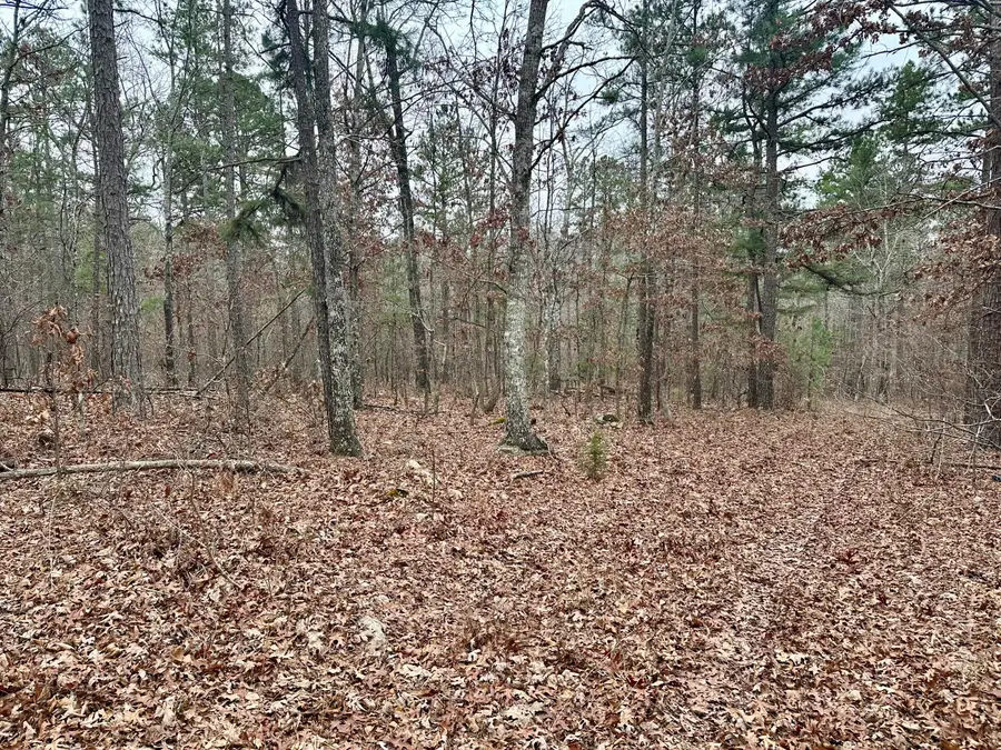 000 County Road 328, Jackson, MO 63937 - Image #2