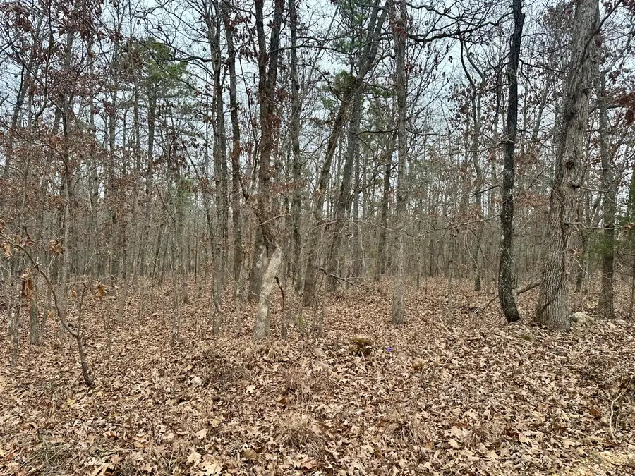 000 County Road 328, Jackson, MO 63937 - Image #3