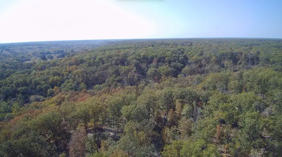 000 Independence Drive, Fordland, MO 65652 - Image #3