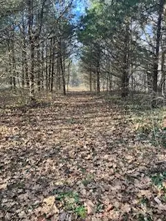 Tbd E Farm Rd 36, Pleasant Hope, MO 65725 - Image #1