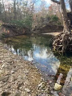 Tbd E Farm Rd 36, Pleasant Hope, MO 65725 - Image #2