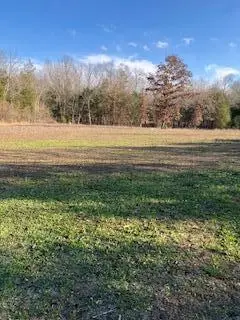 Tbd E Farm Rd 36, Pleasant Hope, MO 65725 - Image #3