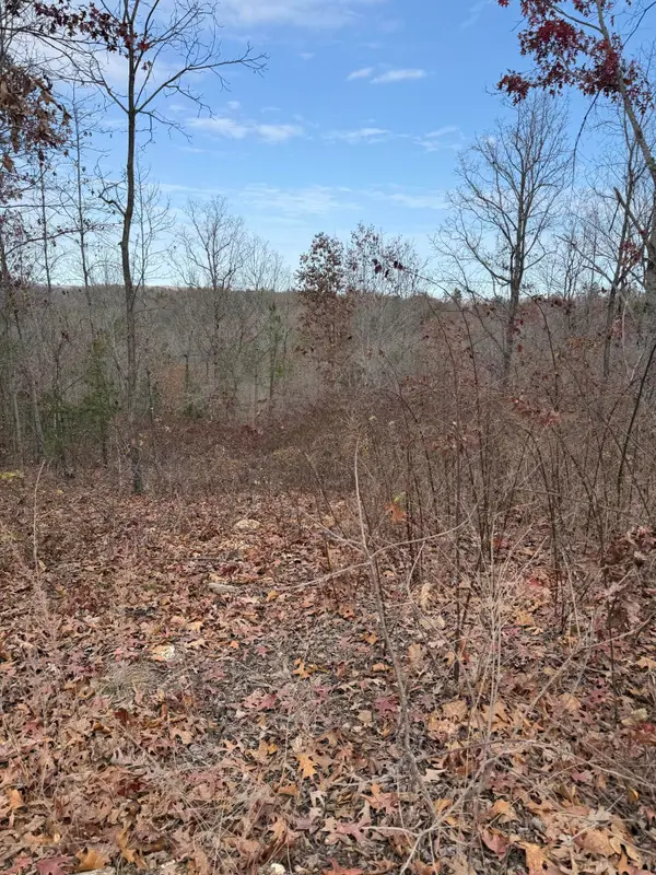 Lot 48 Blue Bird Rd, Eminence, MO 65466