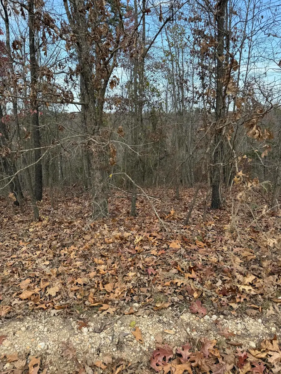 Lot 48 Blue Bird Rd, Eminence, MO 65466 - Image #2