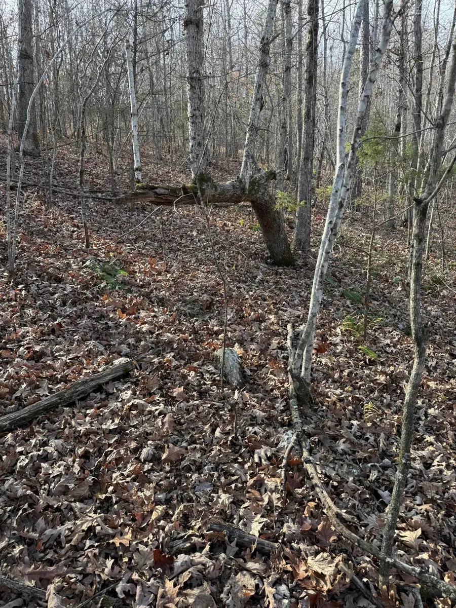 Lot 48 Blue Bird Rd, Eminence, MO 65466 - Image #3