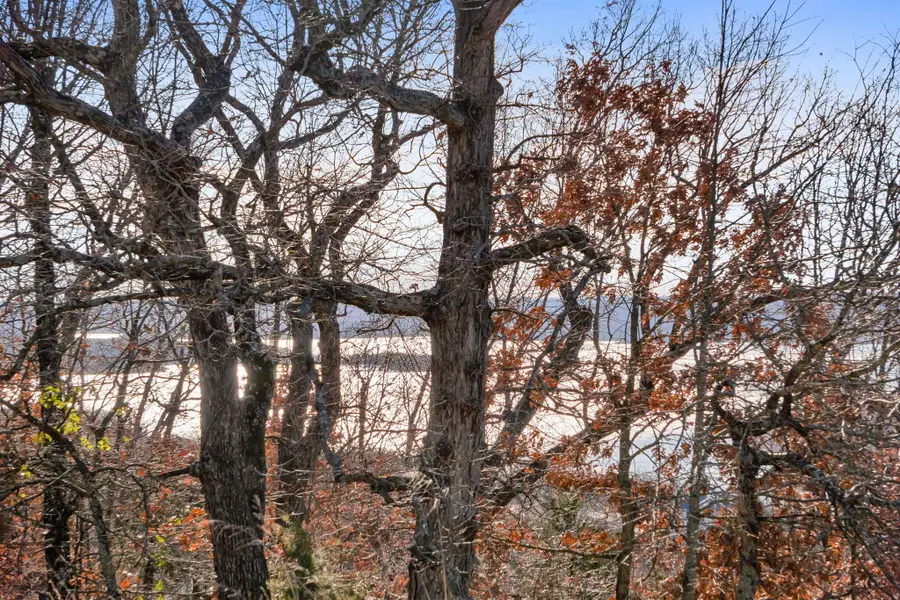 Lot 6 Gregory Lane, Branson, MO 65616 - #2