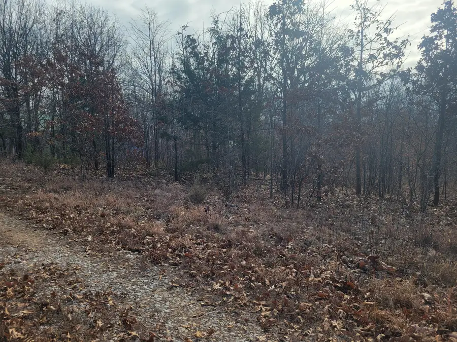 000 S 62nd Road, Humansville, MO 65674 - Image #3