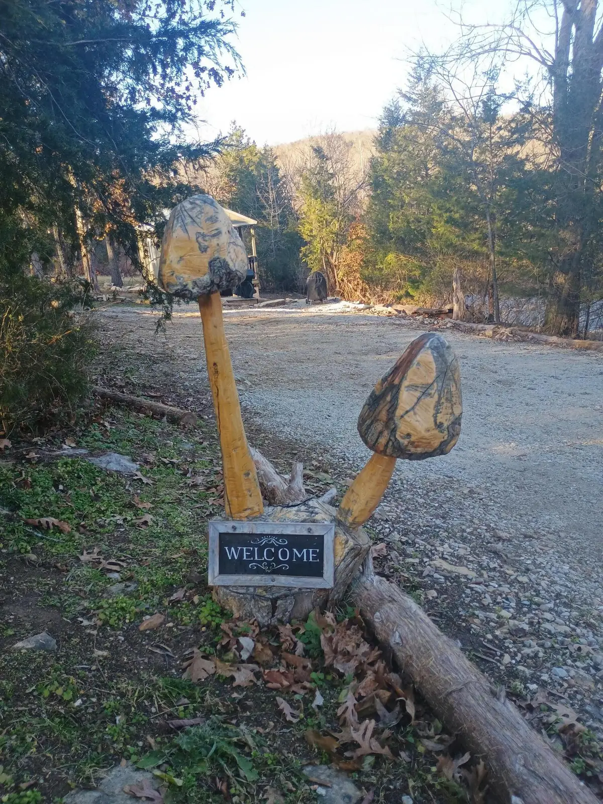 485 State Hwy Ee, Rockaway Beach, MO 65740 - Image #1