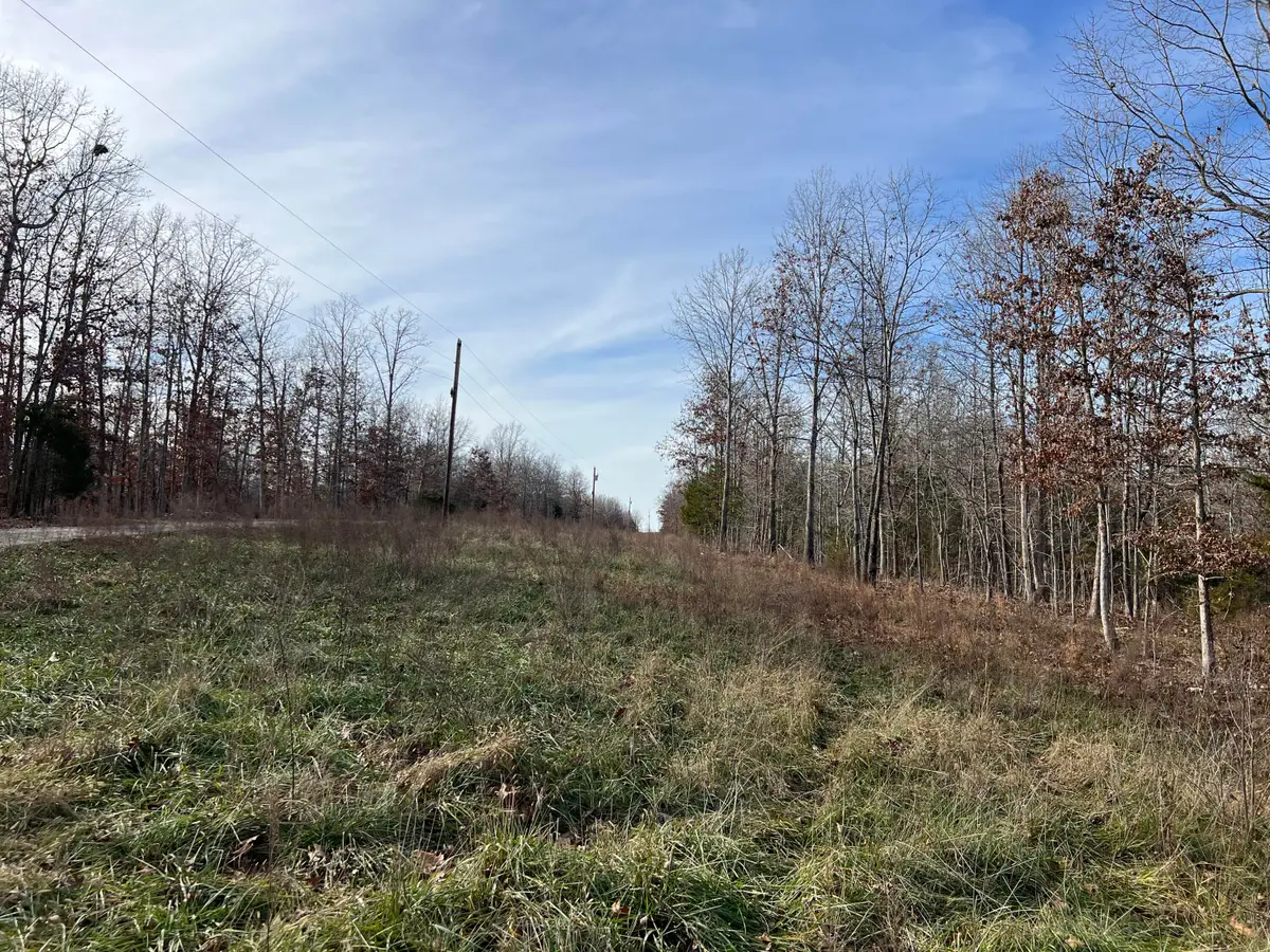 2369 County Road 359, Thayer, MO 65791 - Image #1