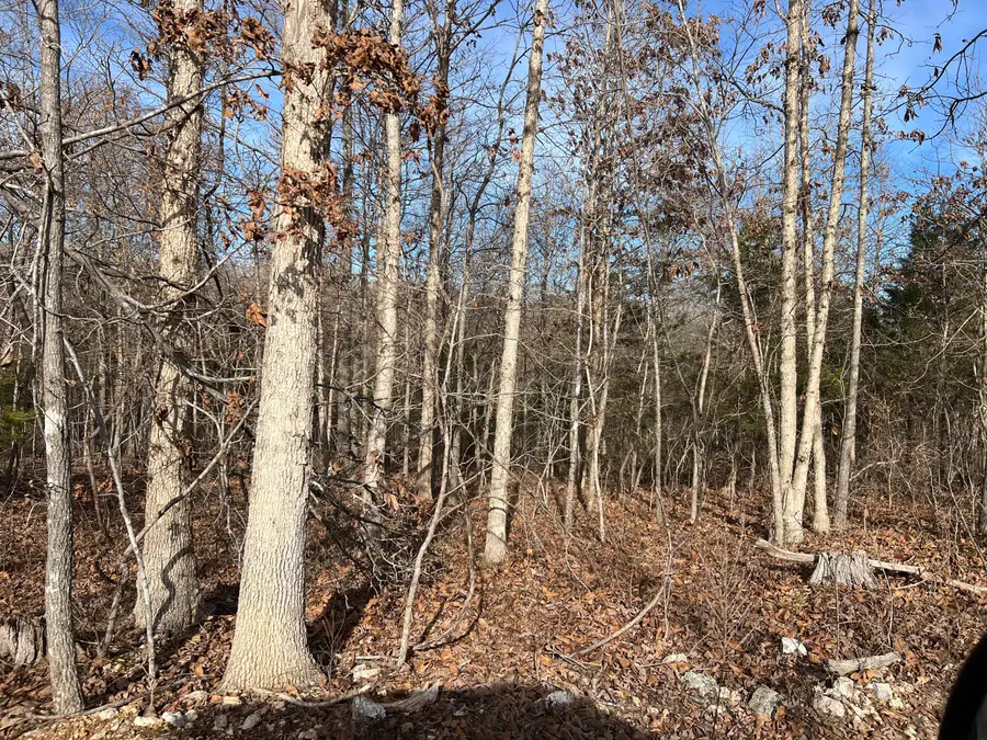 2369 County Road 359, Thayer, MO 65791 - Image #3