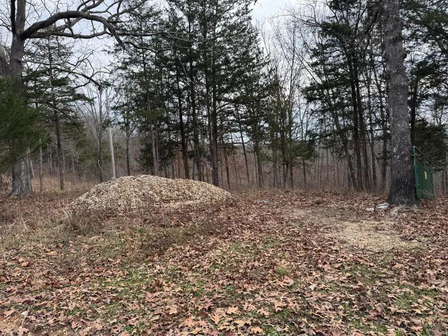 13347 County Road E 76-126, Ava, MO 65608 - Image #2