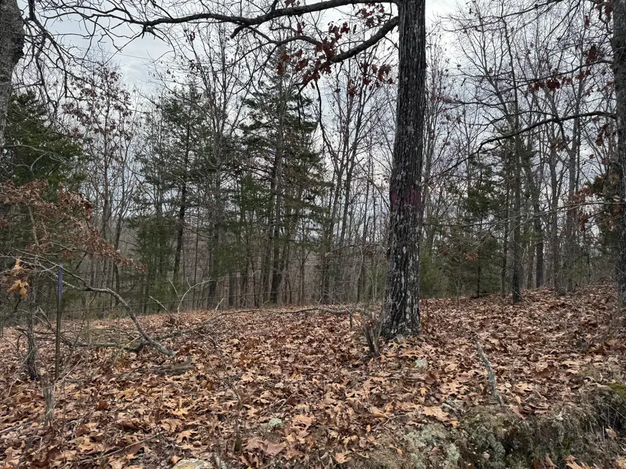 13347 County Road E 76-126, Ava, MO 65608 - Image #3