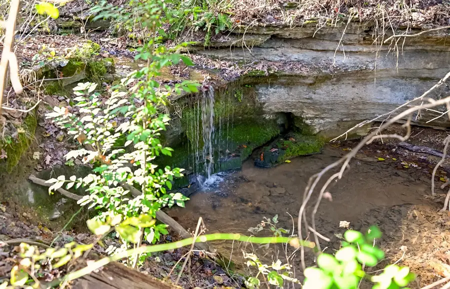 3378 Warner Road, Crane, MO 65633 - Image #2