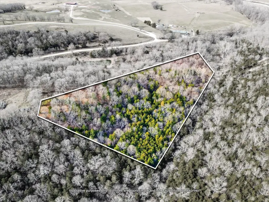 000 Regal Heights #Lot 6, Galena, MO 65656 - Image #2