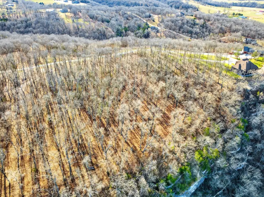 000 Regal Heights #Lot 29, Galena, MO 65656 - Image #3