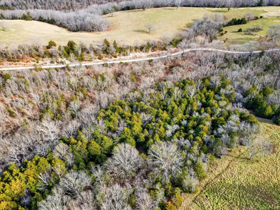 000 Regal Heights #Lot 40, Galena, MO 65656 - Image #3