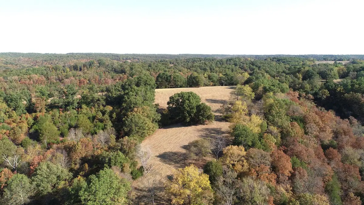 615 Thomas Hollow Road, Rocky Comfort, MO 64861 - Image #1