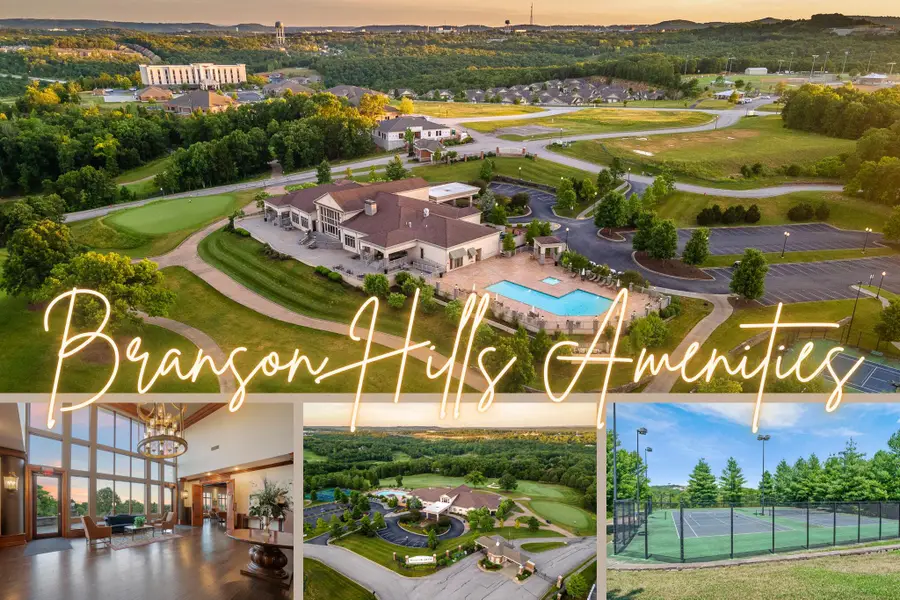 202 Palmer Drive, Branson, MO 65616 - Image #2