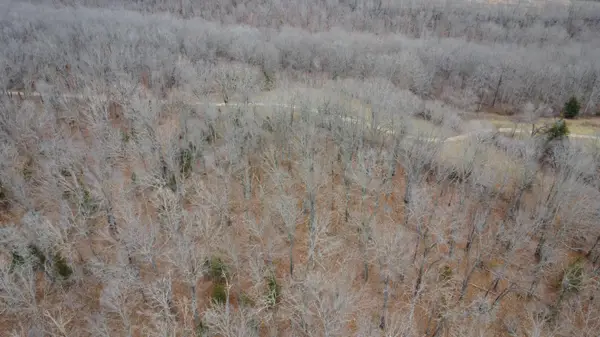 00 E Highway 14 Private Drive #B3, Ava, MO 65608