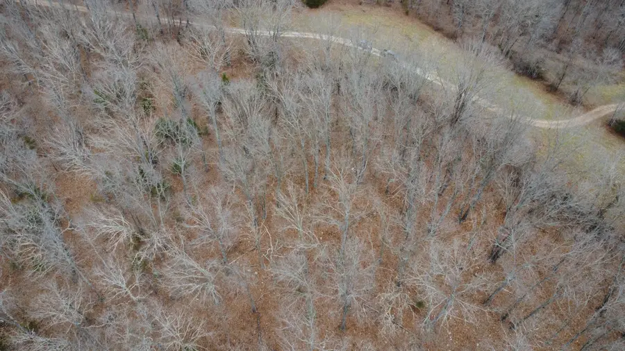 00 E Highway 14 Private Drive #B3, Ava, MO 65608 - Image #2