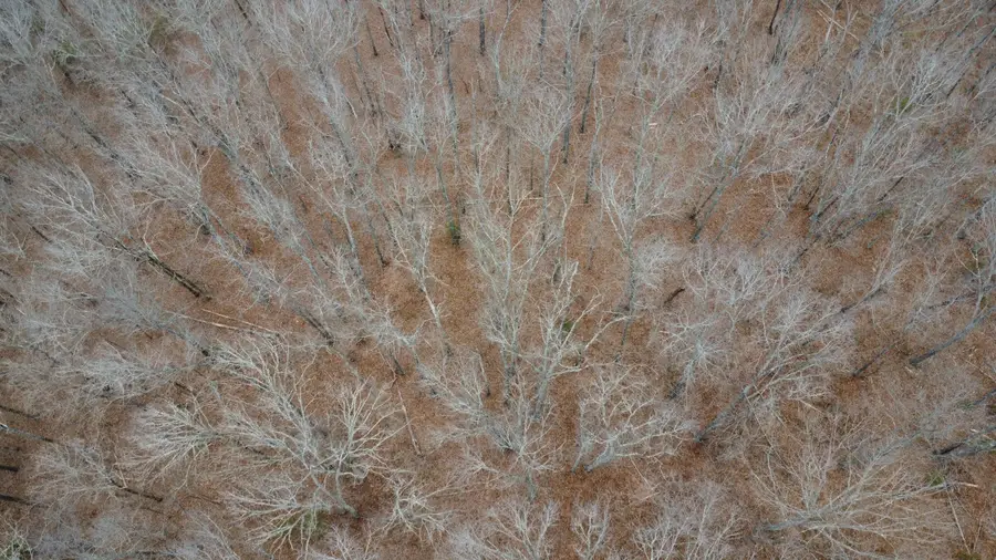 00 E Highway 14 Private Drive #B3, Ava, MO 65608 - Image #3