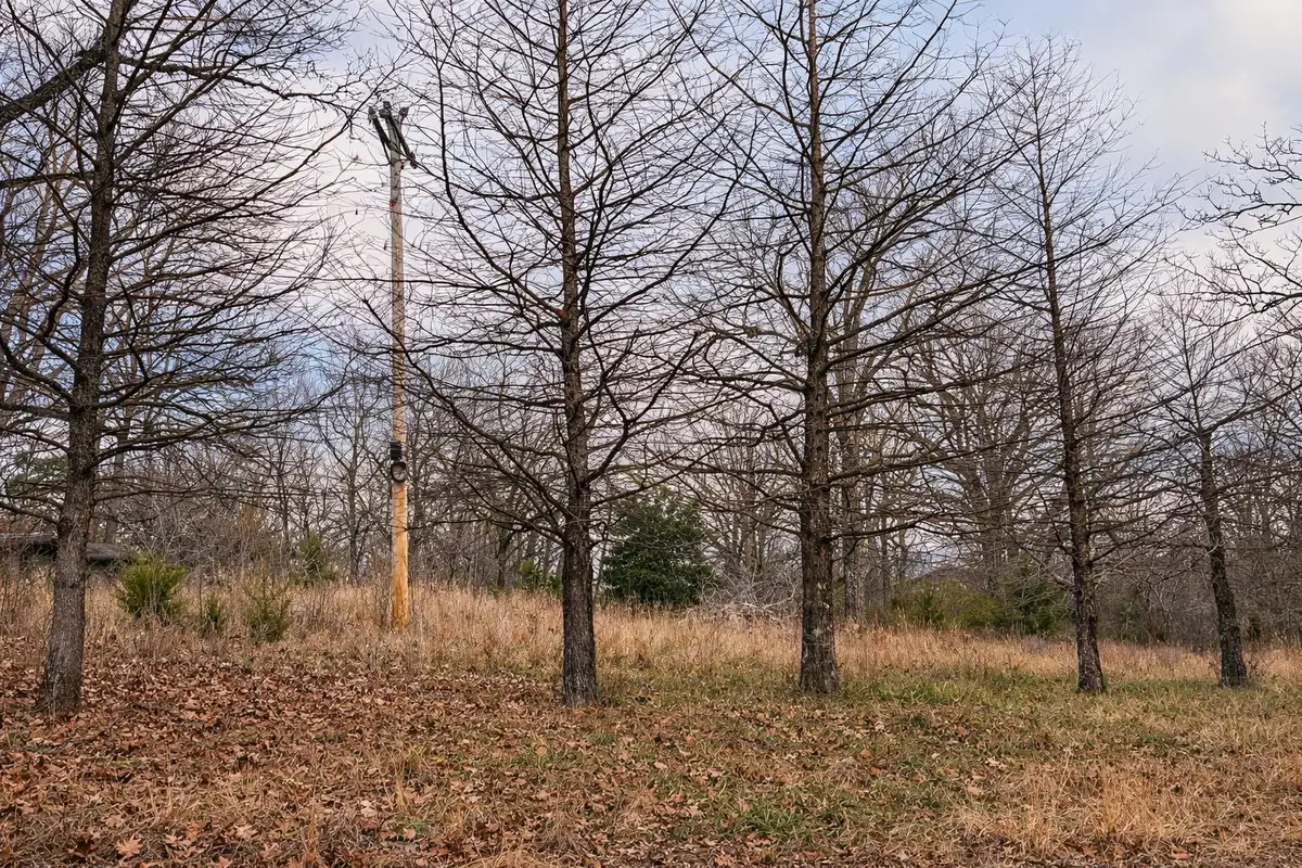 000 Acres Road, Williford, AR 72482 - Image #1