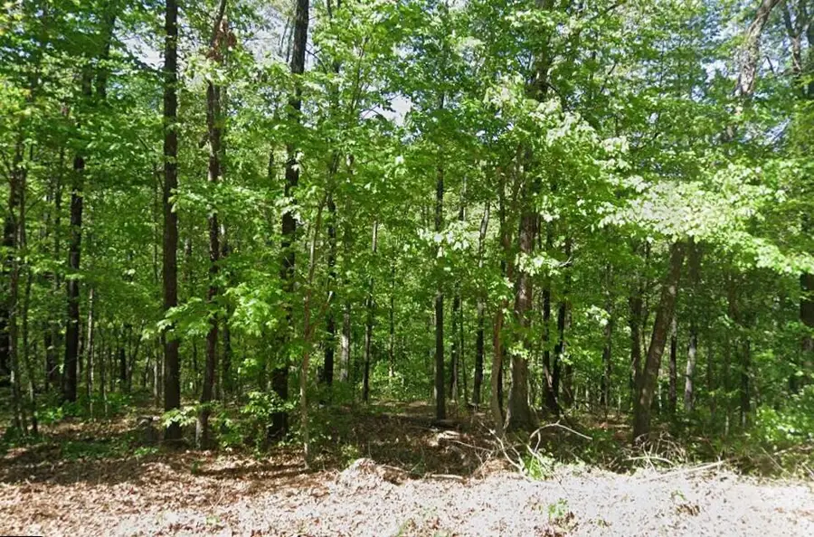 000 Runnymede Lane, Bella Vista, AR 72715 - Image #2