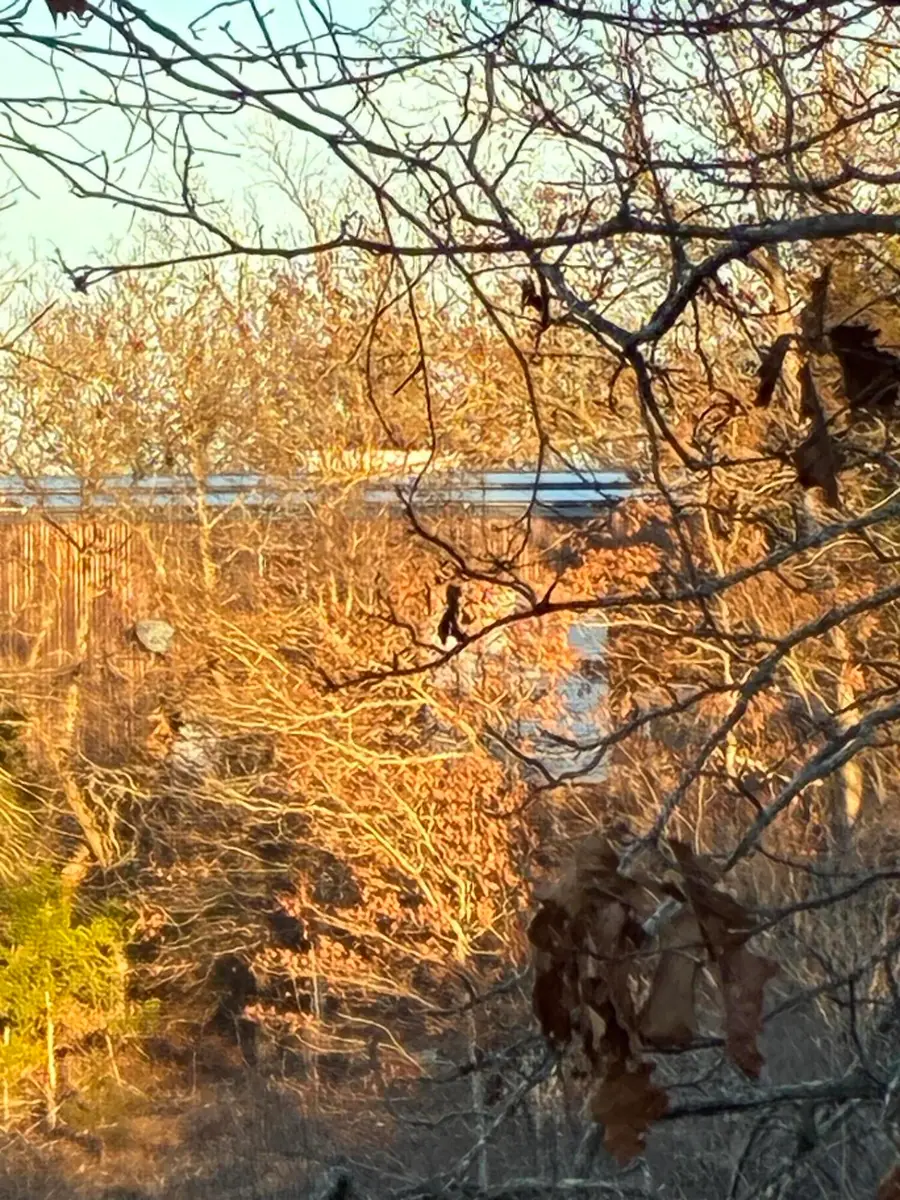 4118 County Road #905, Theodosia, MO 65761 - Image #2