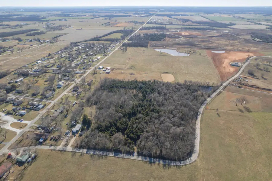 228 Swamp Road, Granby, MO 64844 - Image #2