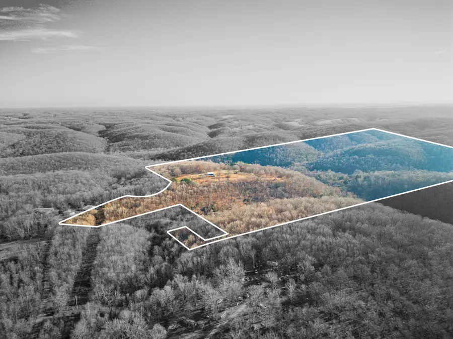 795 Anthony Road, Pineville, MO 64856 - Image #2