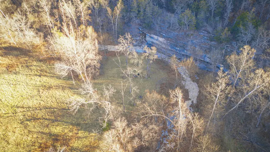 795 Anthony Road, Pineville, MO 64856 - Image #3