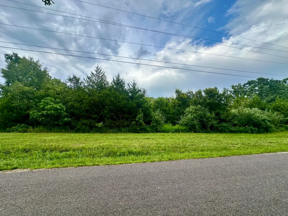 000 Co Rd 4180 Lot 1, Salem, MO 65560 - Image #1