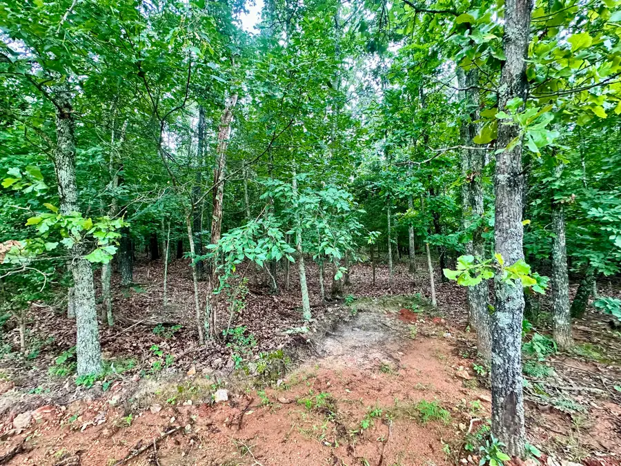 000 Co Rd 4180 Lot 10, Salem, MO 65560 - Image #2