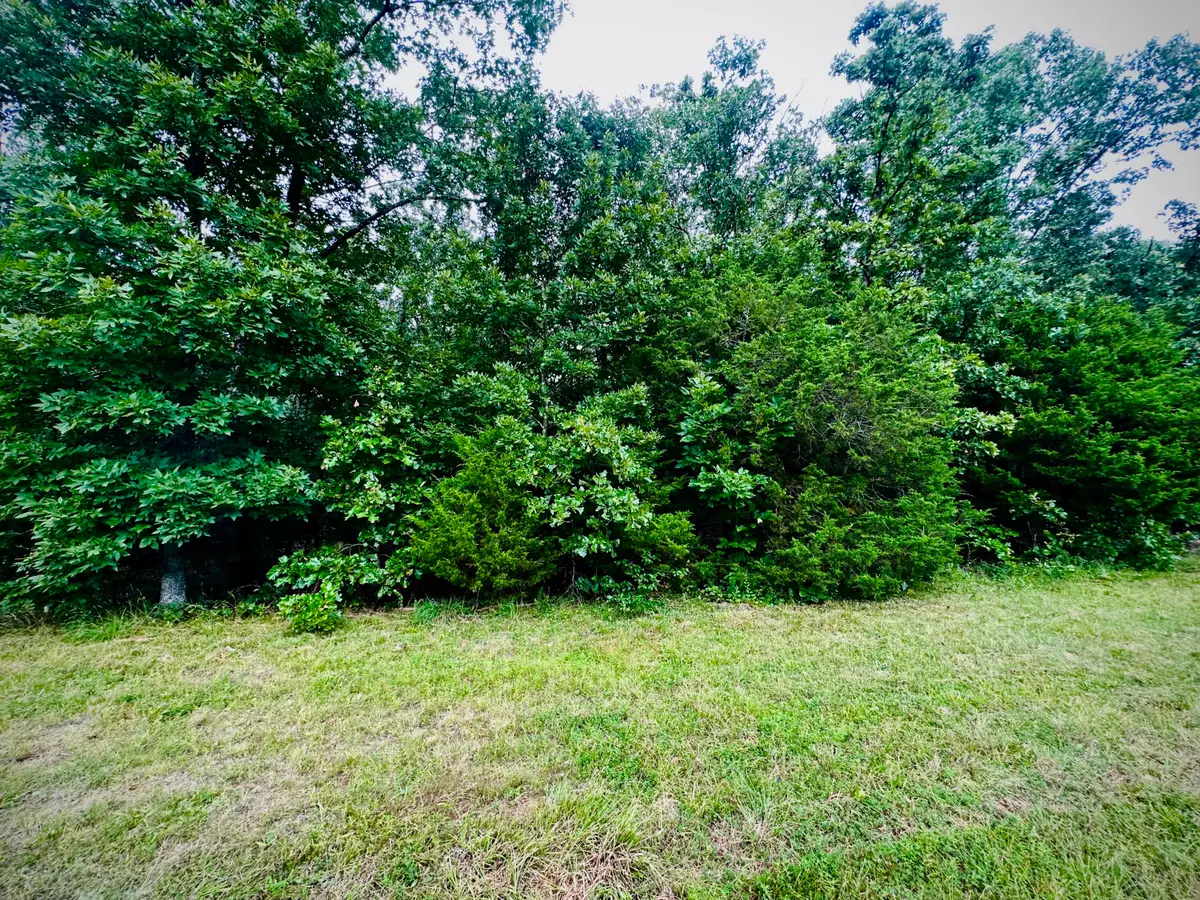 000 Co Rd 4180 Lot 8, Salem, MO 65560 - Image #1