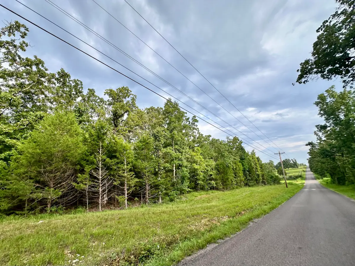 000 Co Rd 4180 Lot 4, Salem, MO 65560 - Image #1