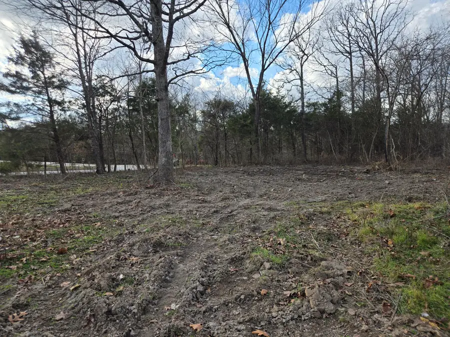 1267 E 550th Road, Morrisville, MO 65710 - Image #2