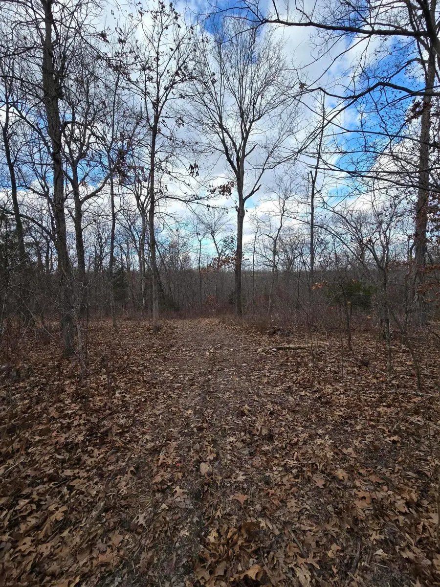 1267 E 550th Road, Morrisville, MO 65710 - Image #3